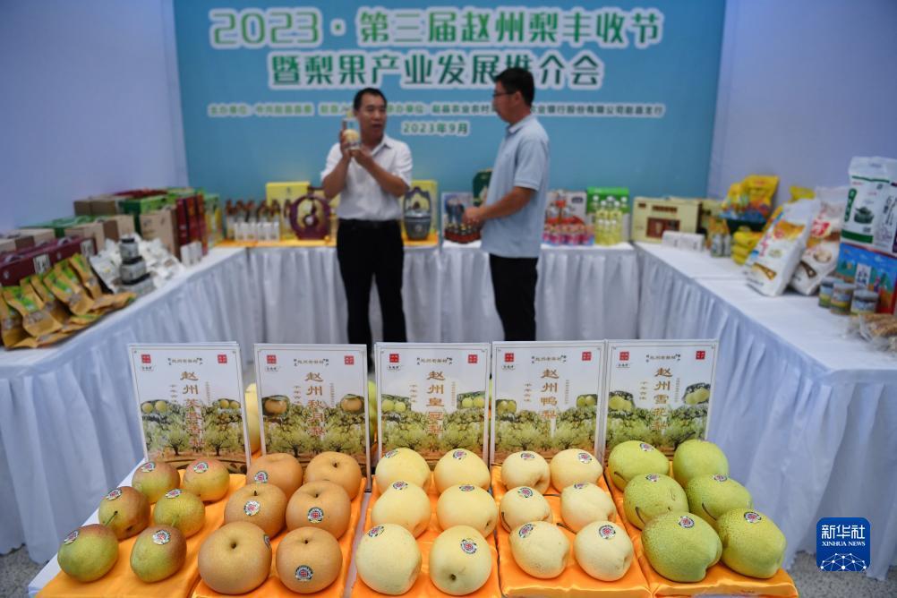 官网注册开户